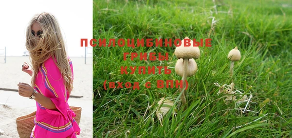 твердый Пересвет