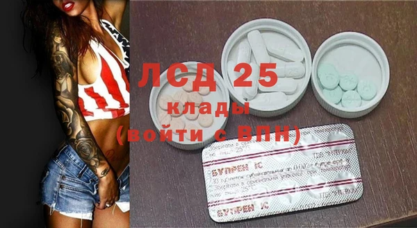 молекула духа Покровск