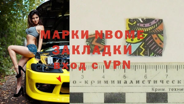шишки Слюдянка