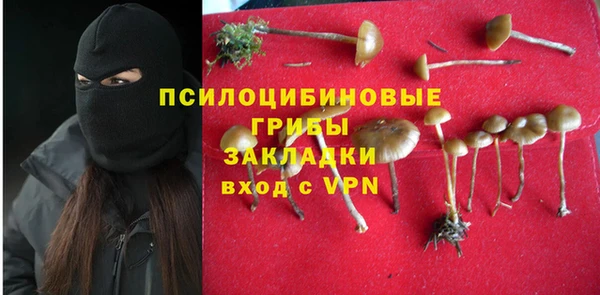 2c-b Покачи