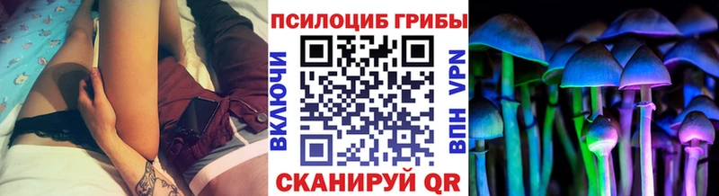Псилоцибиновые грибы Psilocybine cubensis  Кодинск 